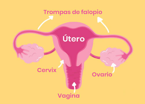 Utero