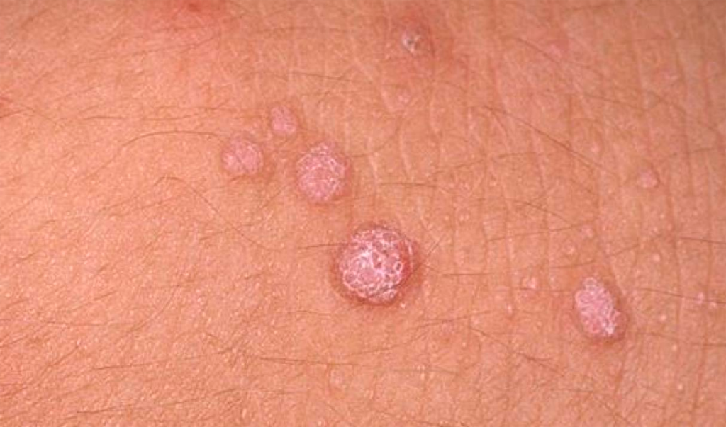 saludfemeninaintegral.com